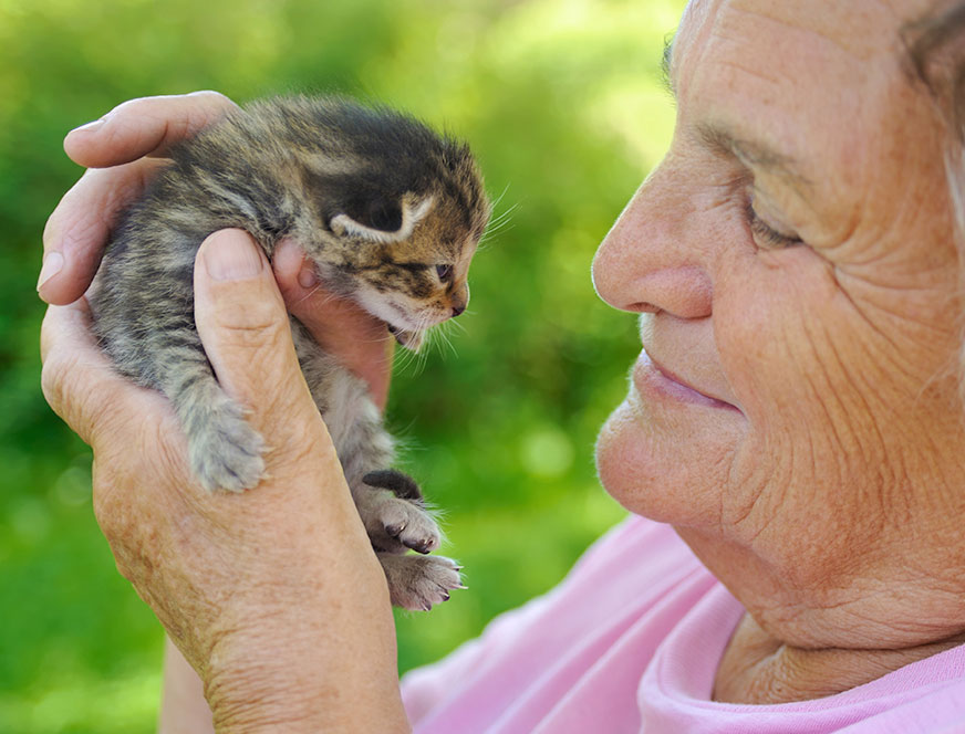 Woman holding a kitten